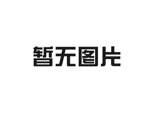 Shanghai ZhongXiong Automotive Electric Appliance Co,.Ltd