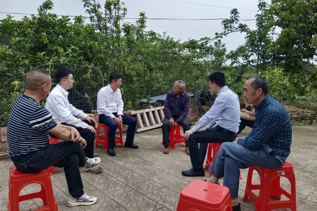 省尊龙凯时集团向导赴嘉陵区开展墟落振兴帮扶事情 - 尊龙凯时