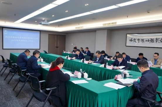 省尊龙凯时集团召开2025年内部审计事情会 - 尊龙凯时