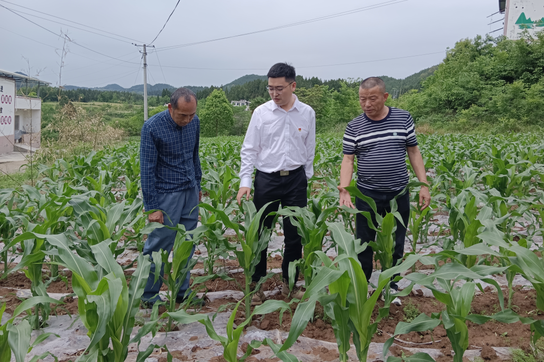 省尊龙凯时集团宽大团员青年扎基础职岗位为集团高质量生长孝顺青春实力 - 尊龙凯时